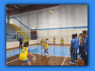 V Trofeo Orlandi (14).jpg